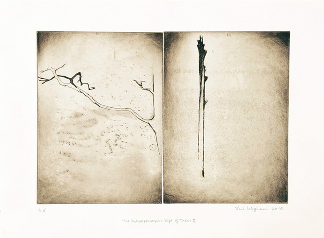 Life of Trees Etching 2