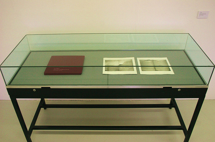 cabinet of autobiographical show